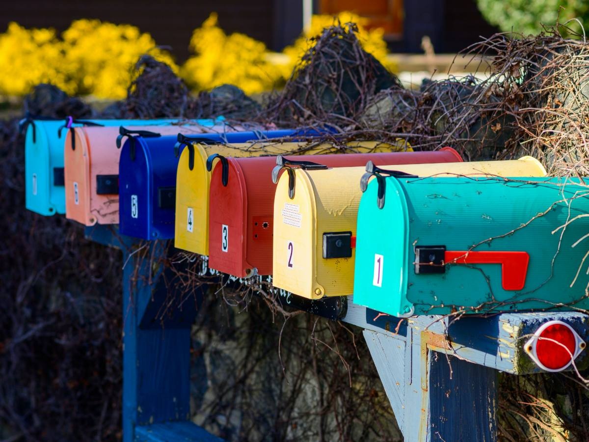 The Expert Guide to Storing Holiday Stamps for Long-Term Value